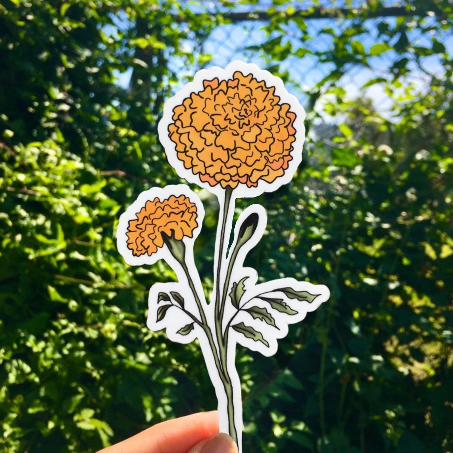 Marigold Sticker