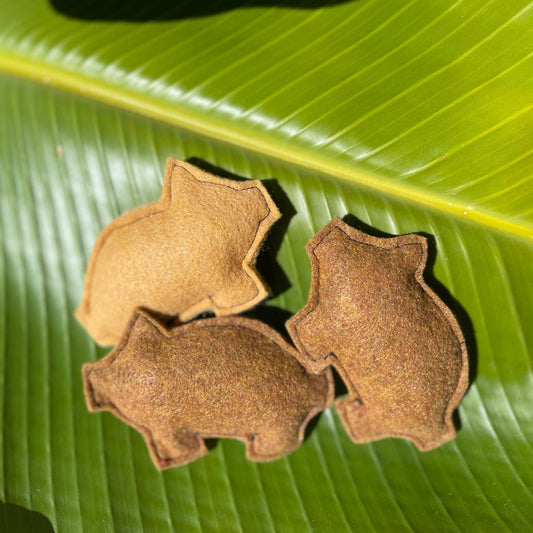 Puerquito Catnip Toys