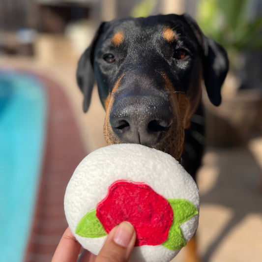 Mazapan Dog Toy
