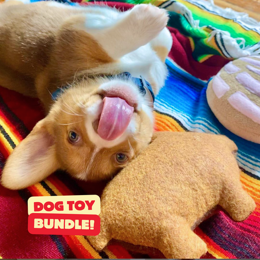 Dog Toy Bundle