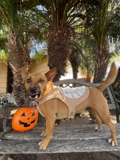 Concha Pet Costume