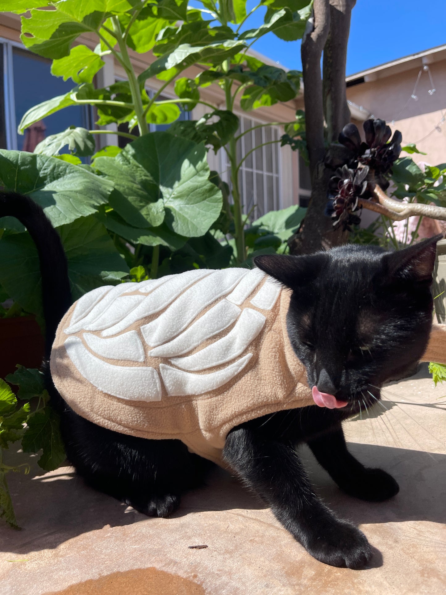 Concha Pet Costume