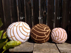 CONCHA PAN DULCE PLUSH