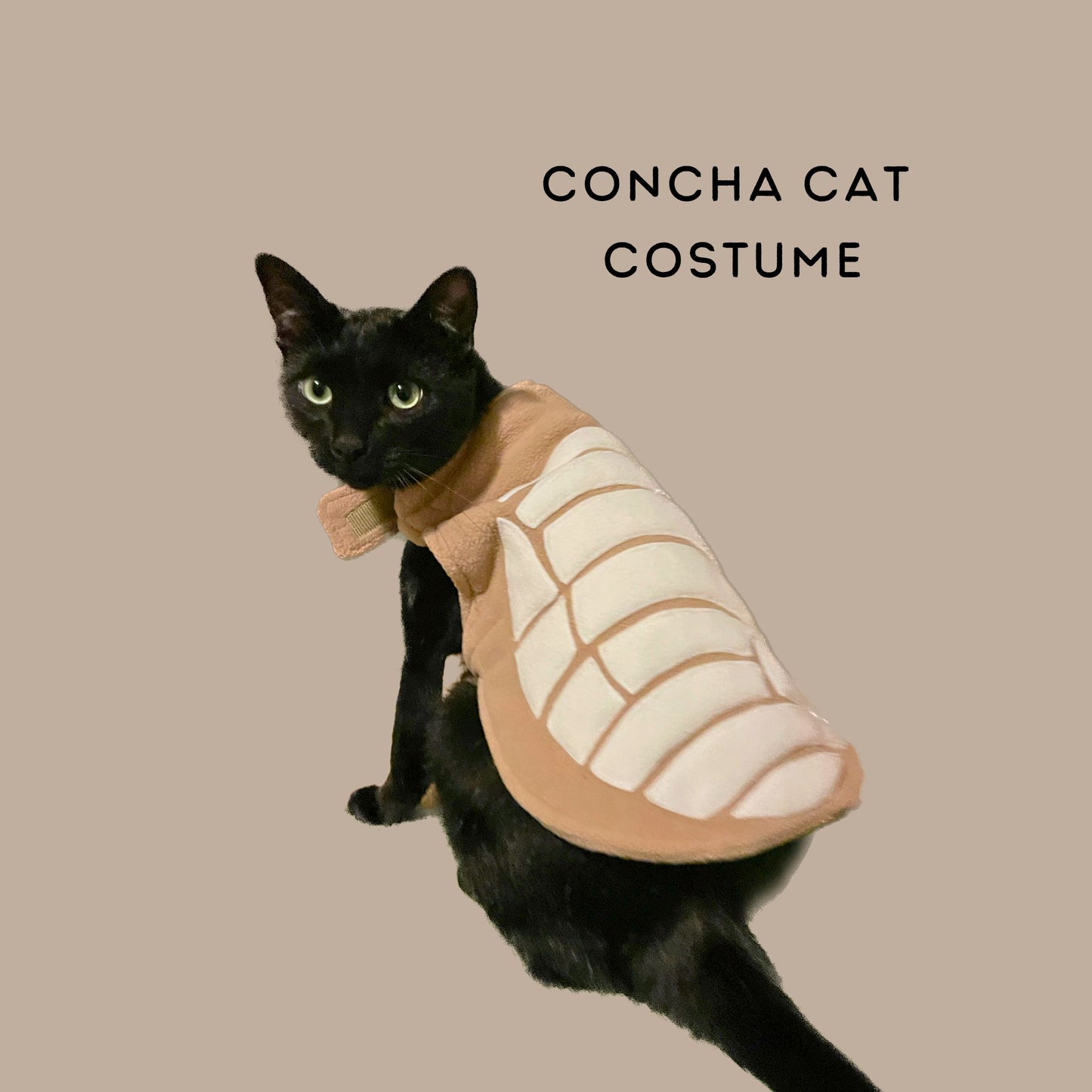 Concha Pet Costume